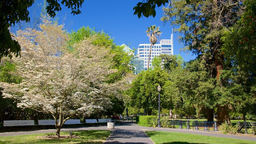 Sacramento Capitol Park mostrando parco