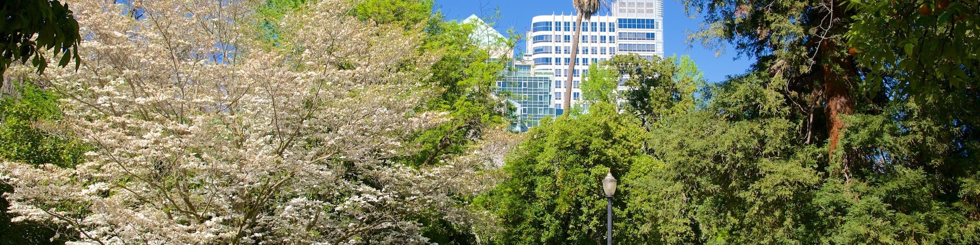 Sacramento Capitol Park mostrando um parque