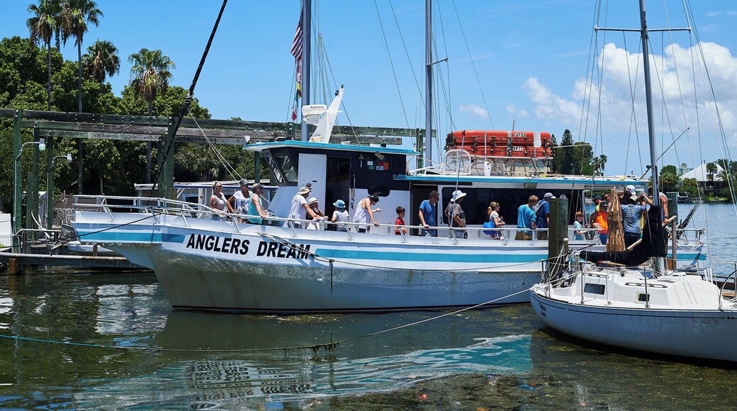 Dolphin Landings Charter Boat Center