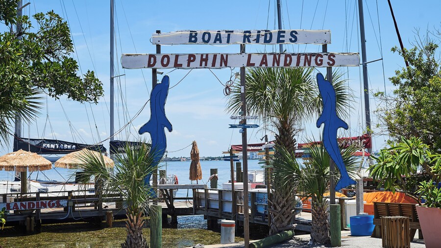 Dolphin Landings Charter Boat Center