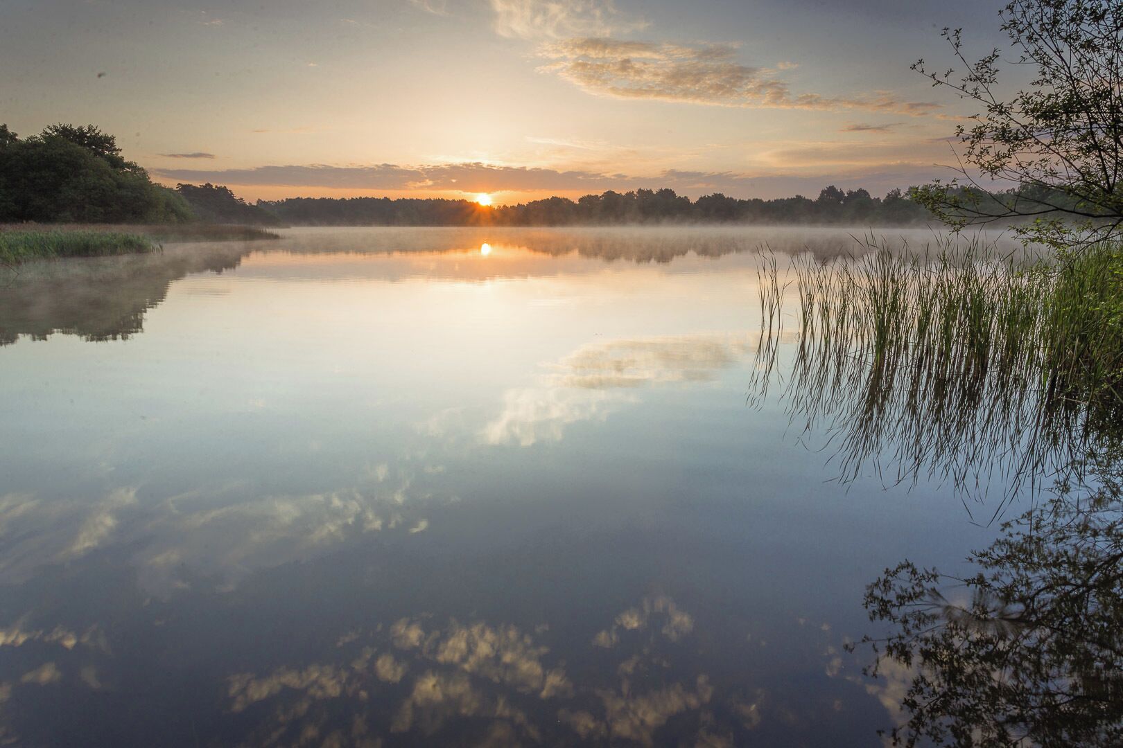 A calm lake at sunrise with the sun reflecting on the water, surrounded by trees and reeds.