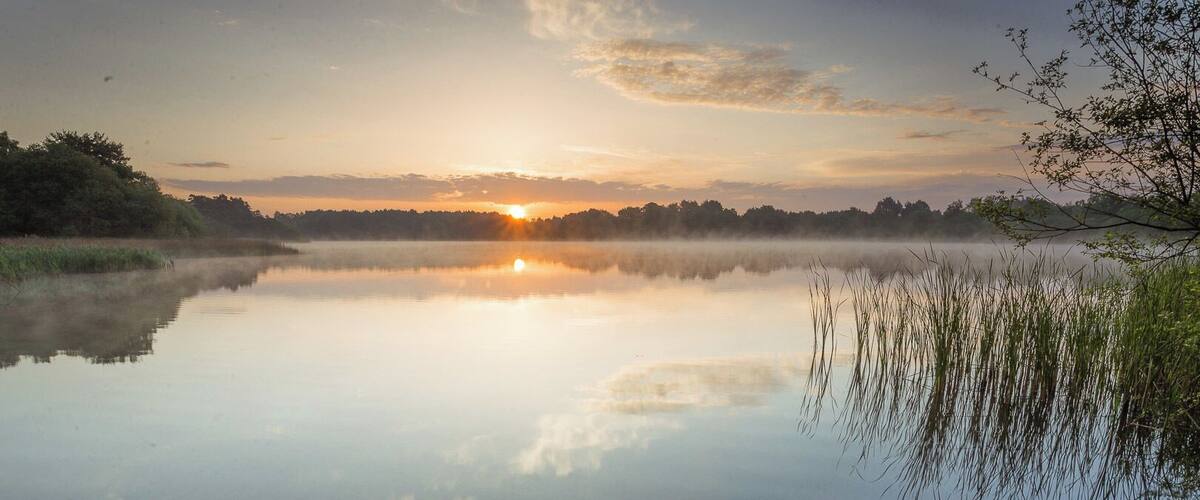 A calm lake at sunrise with the sun reflecting on the water, surrounded by trees and reeds.