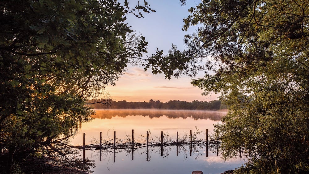 A serene lake at sunrise with reflections of trees and a fence in the water.