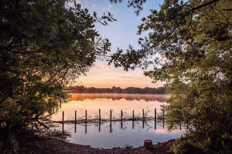A serene lake at sunrise with reflections of trees and a fence in the water.