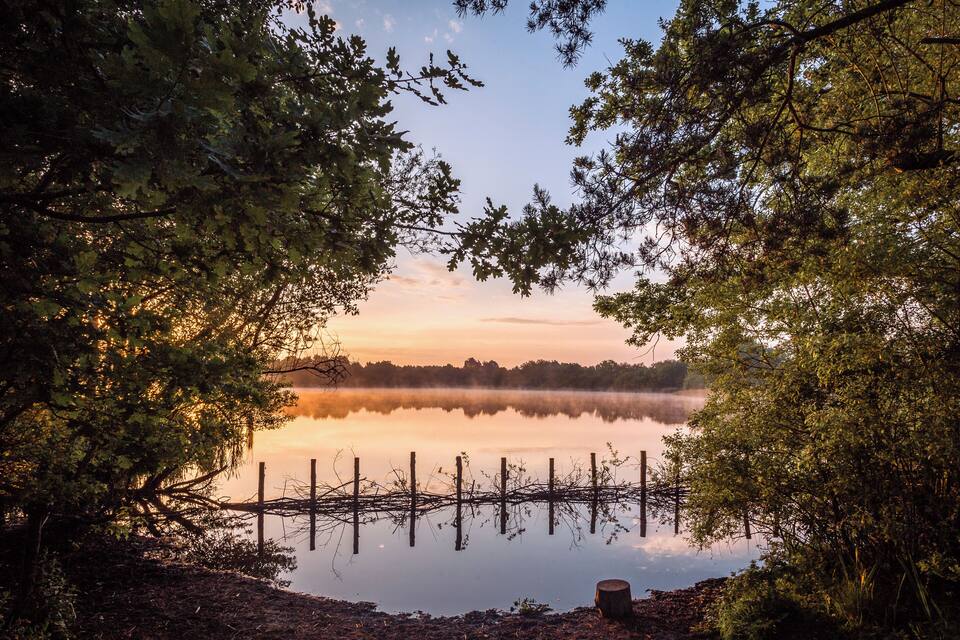 A serene lake at sunrise with reflections of trees and a fence in the water.
