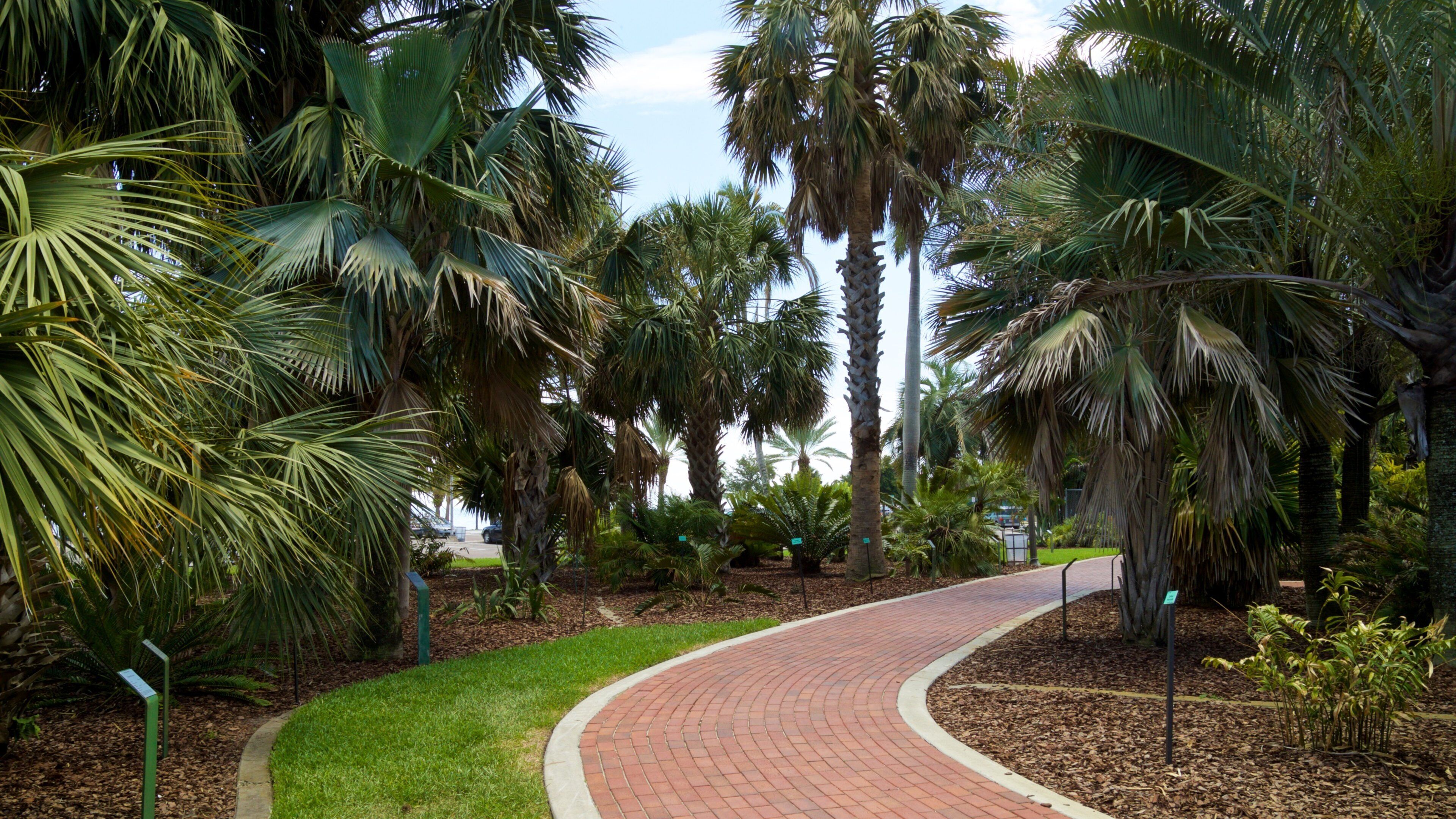 Gizella Kopsick Palm Arboretum