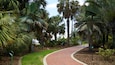 A curved brick pathway surrounded by palm trees and lush greenery.