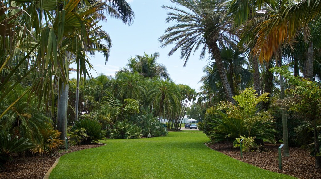 Gizella Kopsick Palm Arboretum