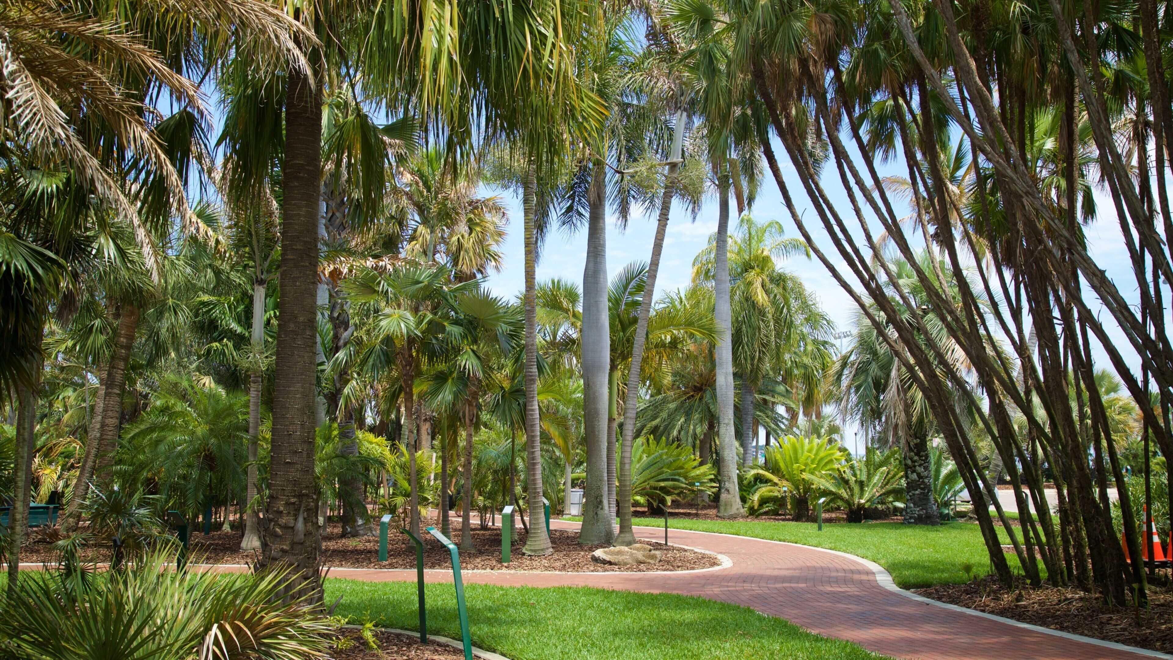 Gizella Kopsick Palm Arboretum