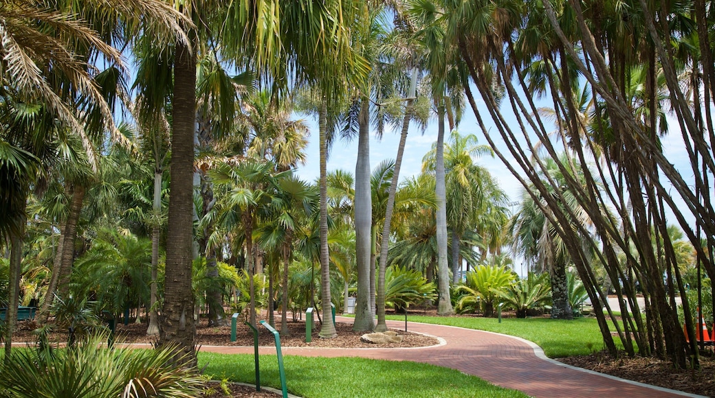 Gizella Kopsick Palm Arboretum