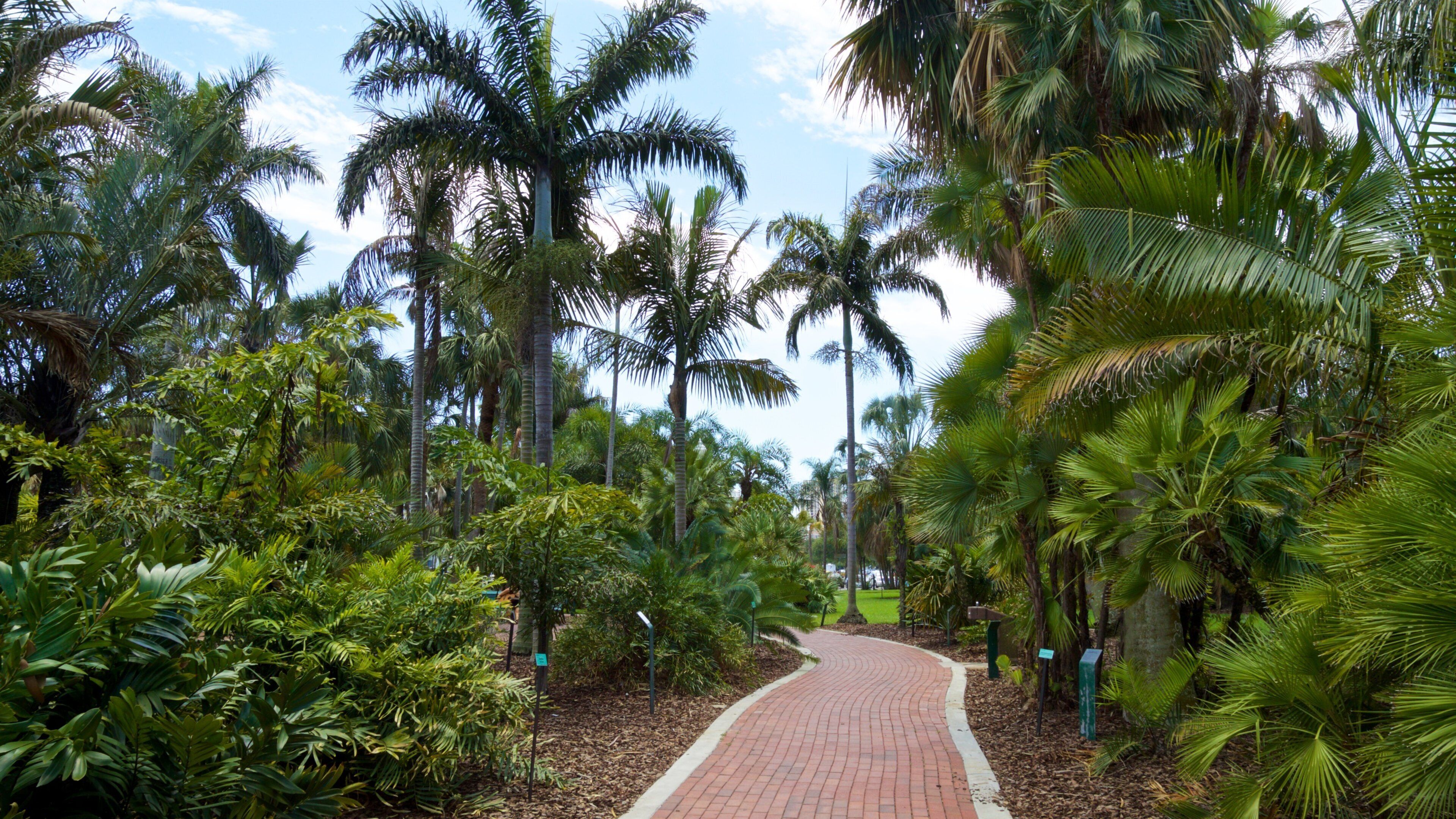 Gizella Kopsick Palm Arboretum