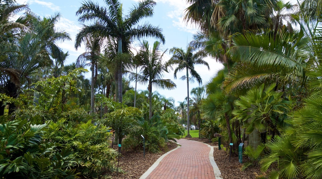 Gizella Kopsick Palm Arboretum