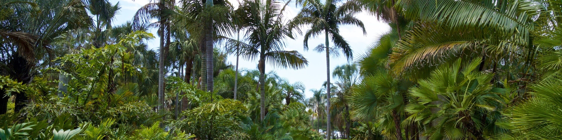 Gizella Kopsick Palm Arboretum