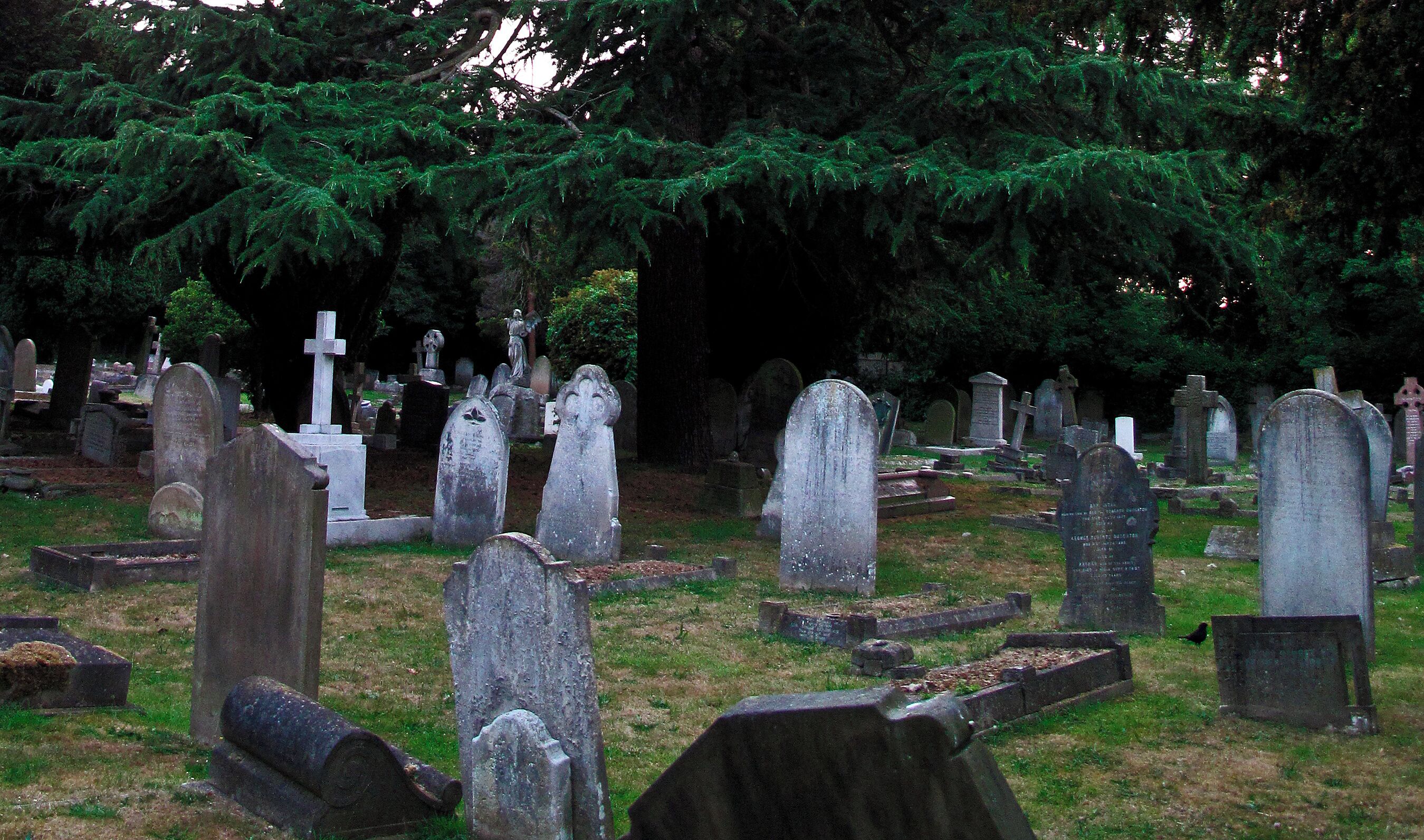 St Nicholas church grounds, Thames Ditton.