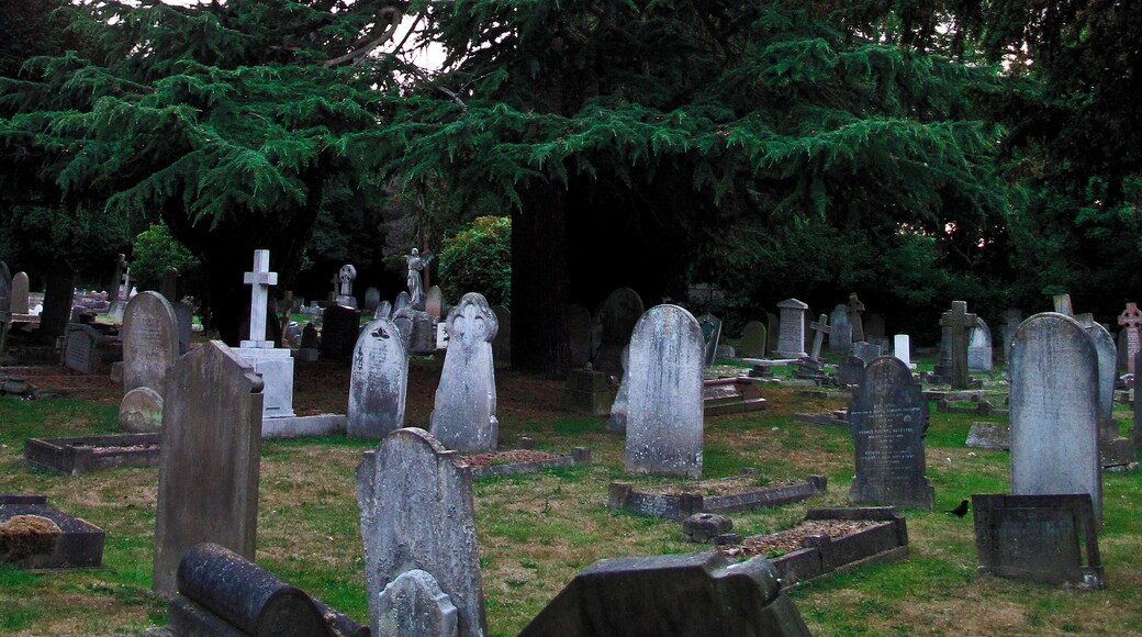 St Nicholas church grounds, Thames Ditton.