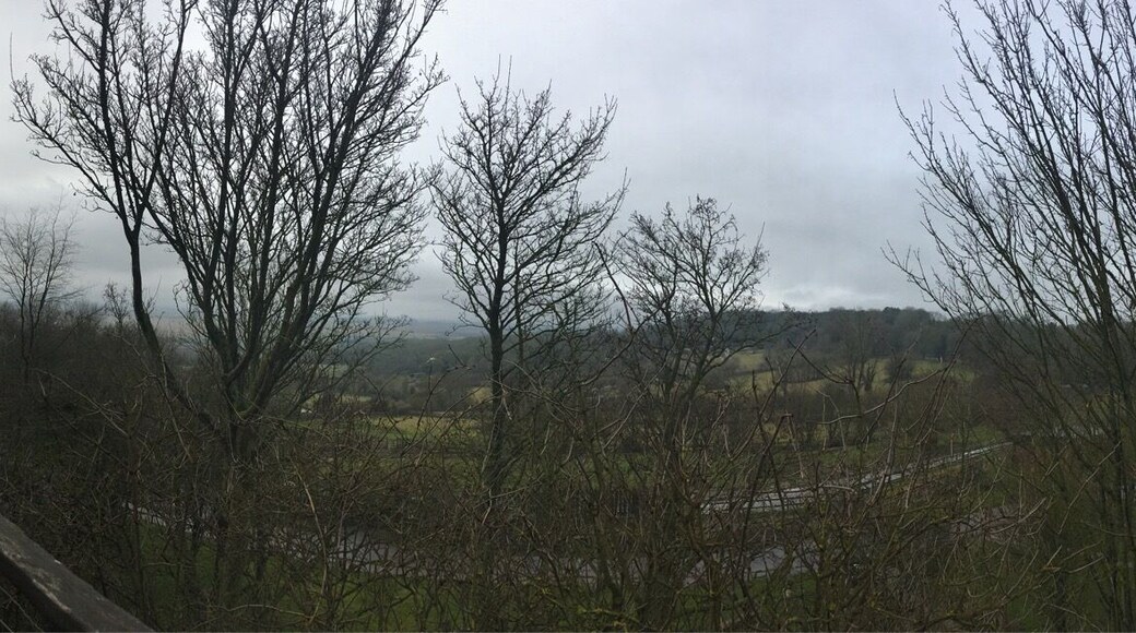 View from the Treehouse cabin at Port Lympne Animal Reserve! 2 bedroom self catering at its best!!