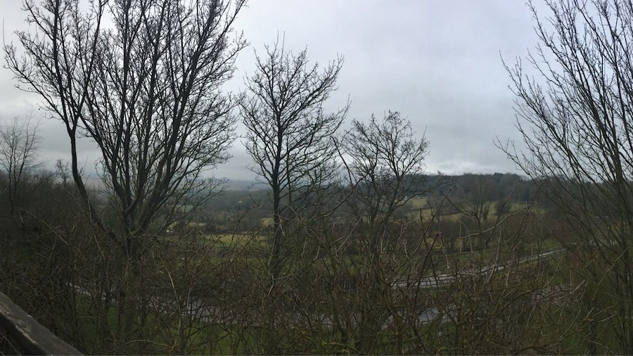 View from the Treehouse cabin at Port Lympne Animal Reserve! 2 bedroom self catering at its best!!