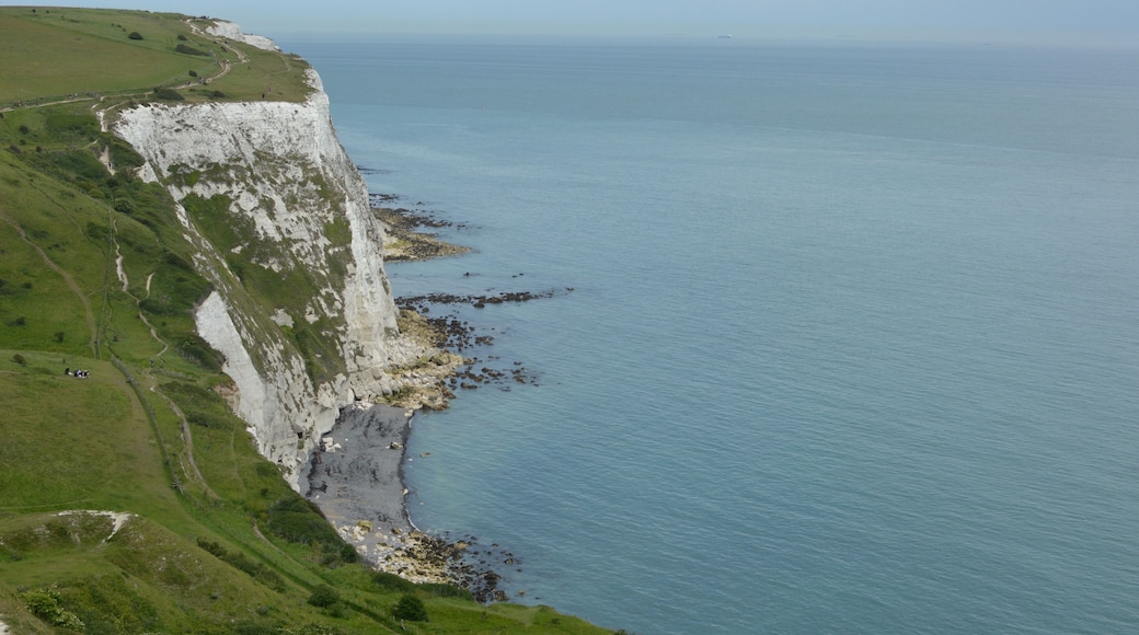 This was an amazing sight!