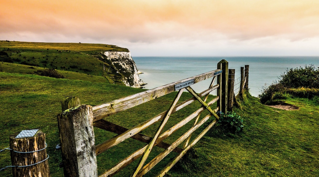 White Cliffs of Dover. Stunning place.