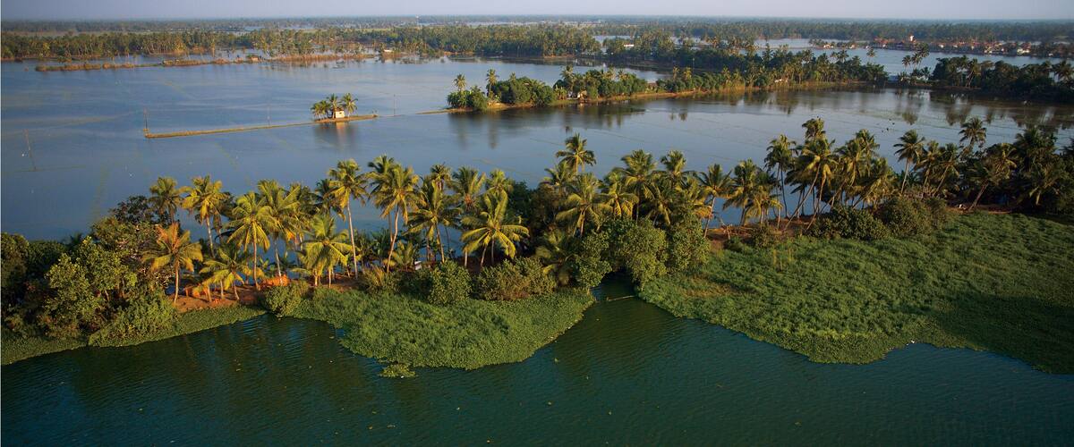Aerial view of serene backwaters reflecting the sky, fringed by lush green vegetation and swaying palm trees, Alappuzha, Kerala, India.