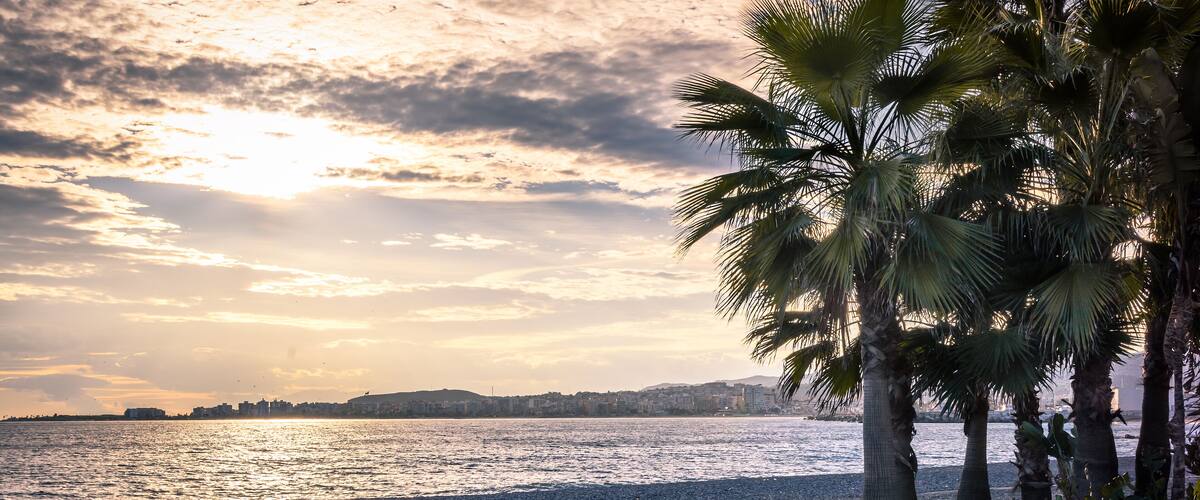 A beach with palm trees and a city skyline in the background.