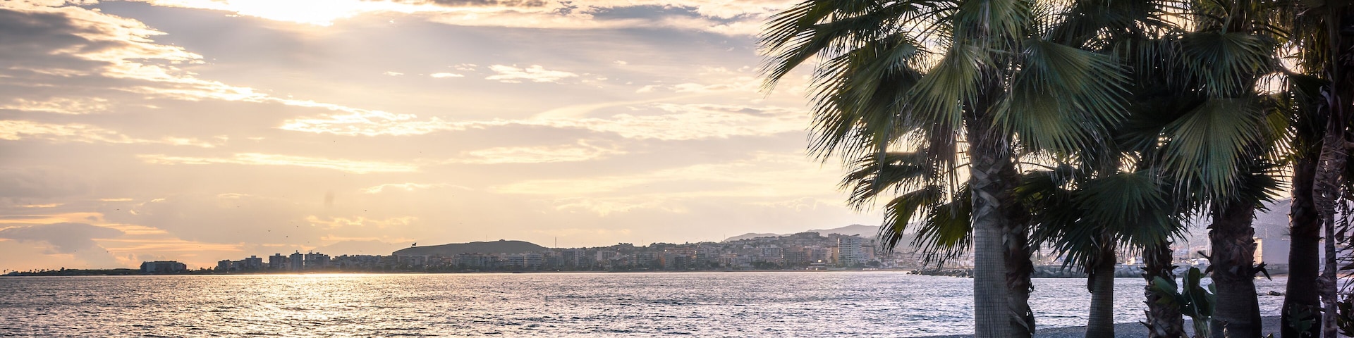 A beach with palm trees and a city skyline in the background.