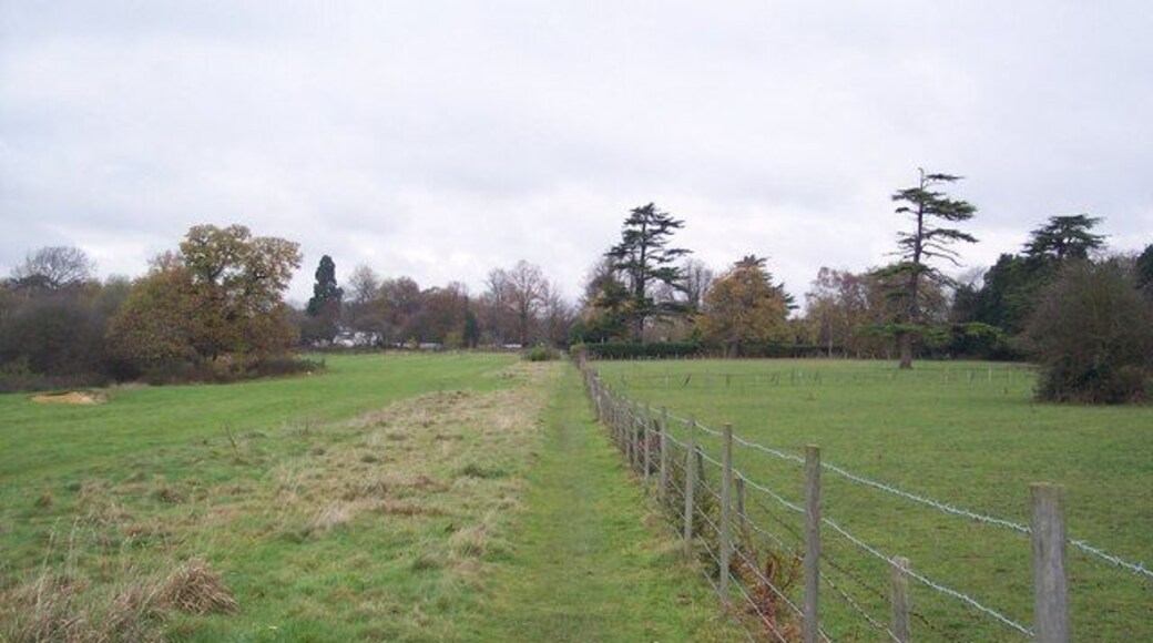 Footpath to Church Road, Halstead This path leads from Southdene close. Deerleap Wood is on the left.