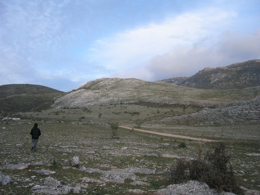 Encinas Borrachas