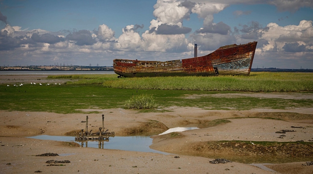 Wreck of an old boat, sitting just off the river side at Motney Hill, North Kent.
Part of the Riverside Country Park, this coastal walk takes in a varied amount of wildlife, from many species of birds who dwell in the salt marshes and mudflats to the seals often seen sitting on the little islands dotted around the estuary.
