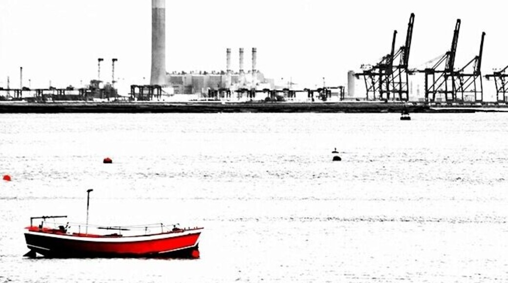 The somewhat stark but beautiful industrial backdrop of Motney Hill which encompasses a thriving port, nature reserve and rusting shipwrecks all in one environment.
A great place to stroll, capturing photos and watching the wildlife, this is a great part of the north Kent coastline.
