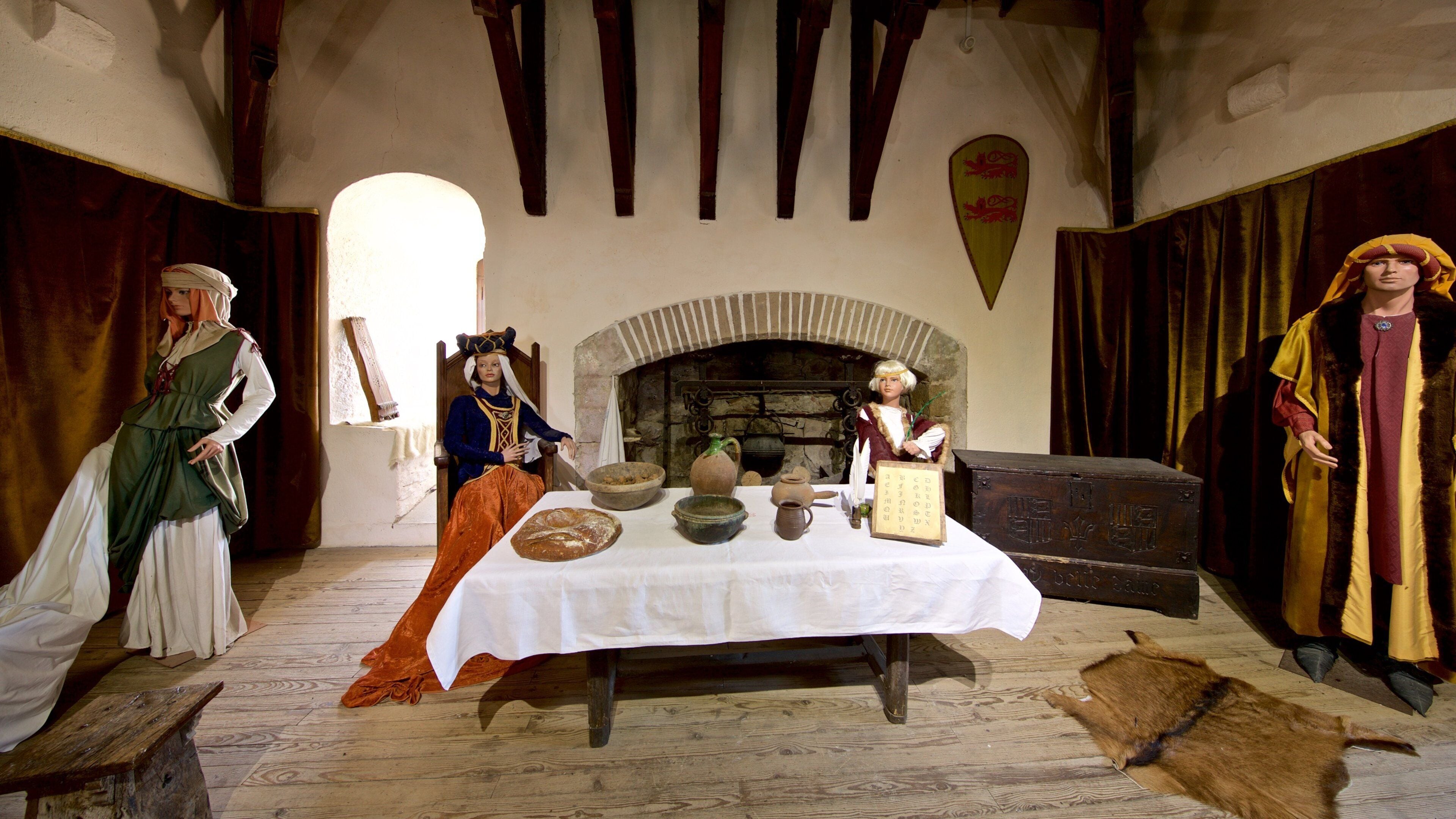 Mauvezin Chateau featuring interior views