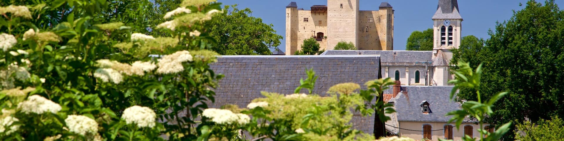 Mauvezin Chateau which includes wildflowers
