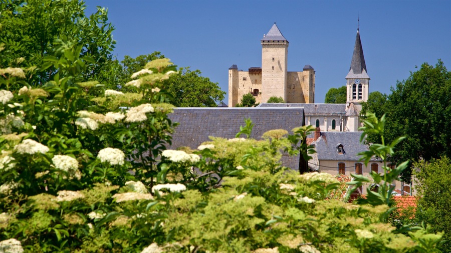 Mauvezin Chateau showing wild flowers