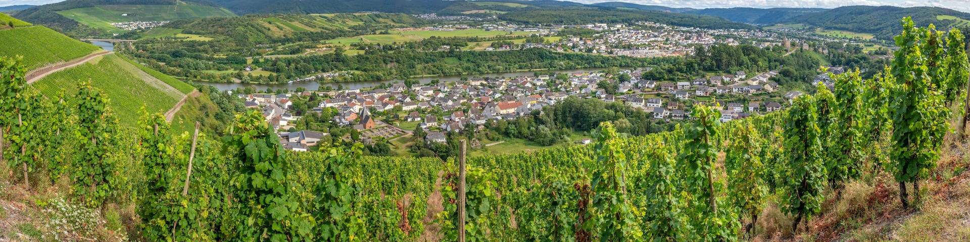 Panoramablick auf die Stadt Saarburg, Rheinland-Pfalz, Deutschland im Sommer mit Weinbergen und der Saar, links das Dorf Ockfen