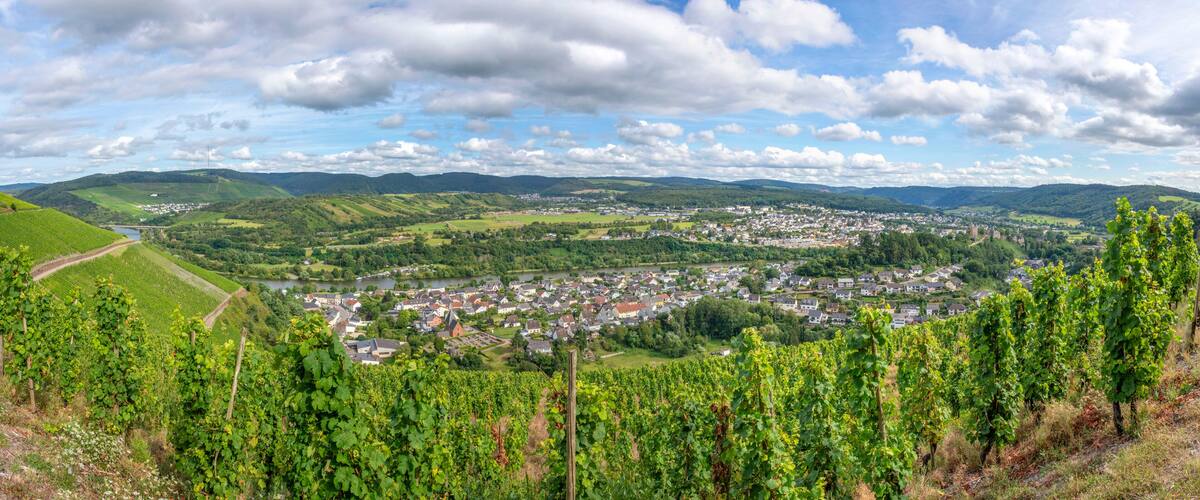 A town nestled in a valley with vineyards in the foreground and a river in the background.