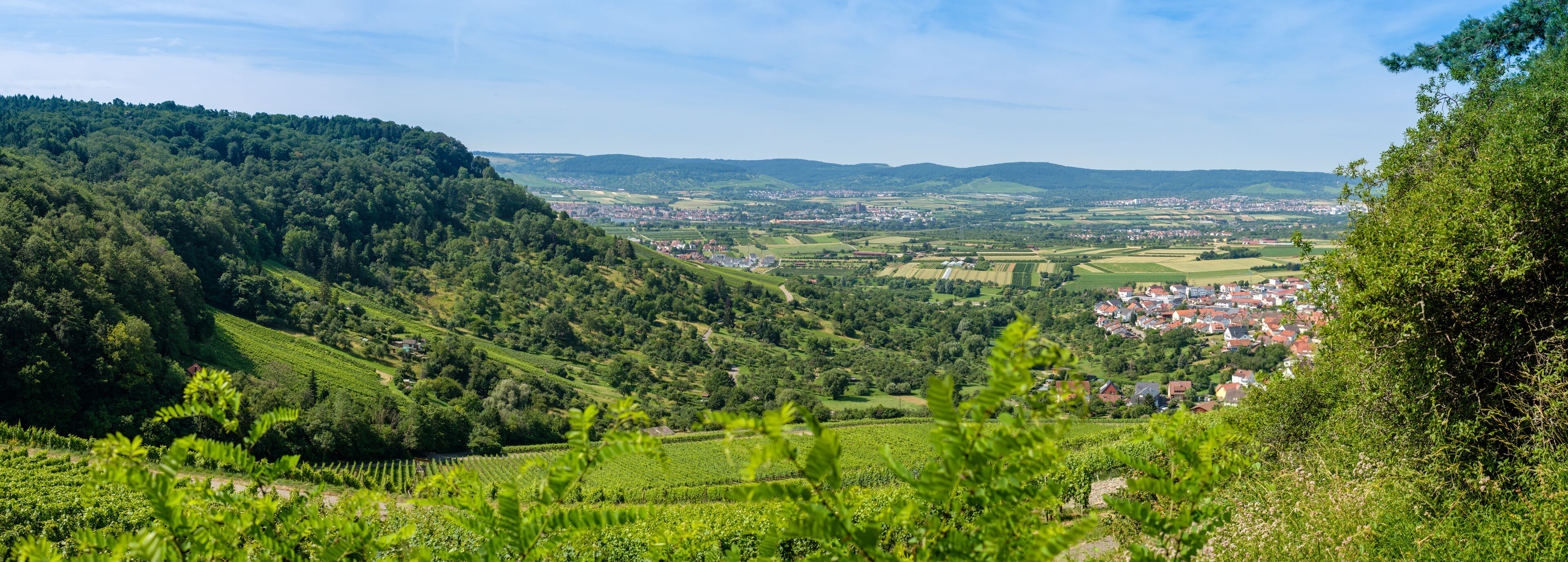 Blick in das Remstal Wenstadt Panorama