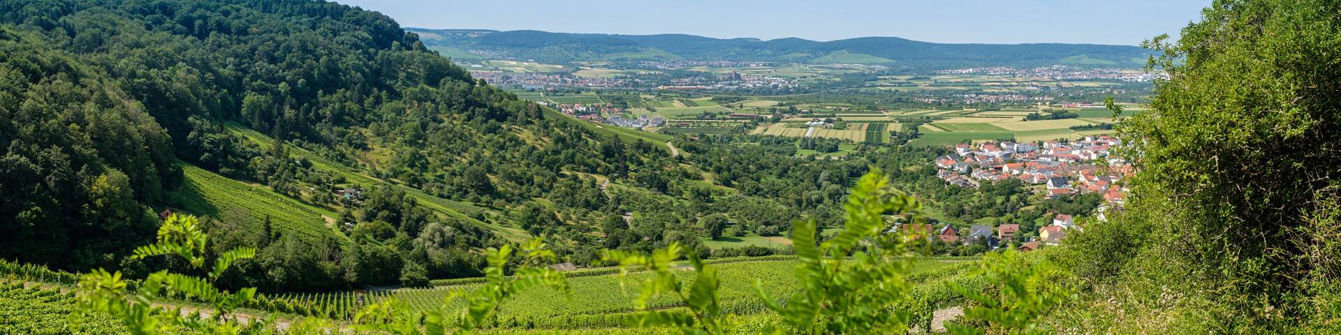 Blick in das Remstal Wenstadt Panorama