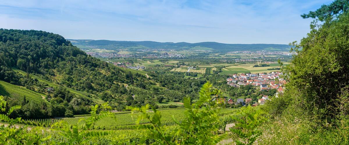 A lush valley with vineyards, a town in the distance, and rolling hills.