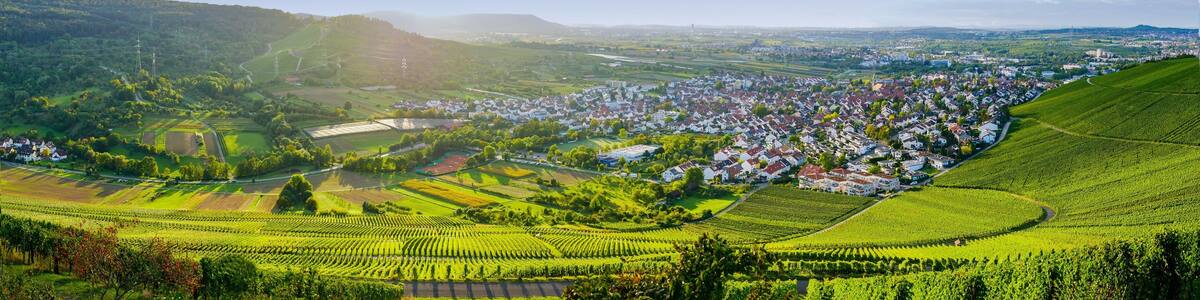 Ländliche Landschaft mit Weinbergen, einer kleinen Stadt und sanften Hügeln.