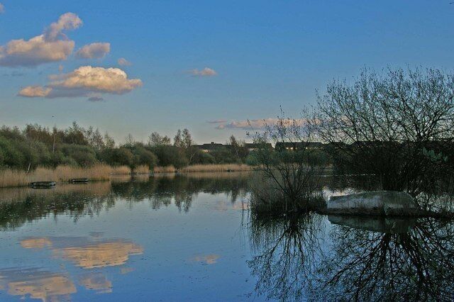 Lake in Kennington Park There are several ponds and lakes in Kennington Park Aveley this is the Day Ticket fishing lake see http://www.kpac.co.uk/news.htm