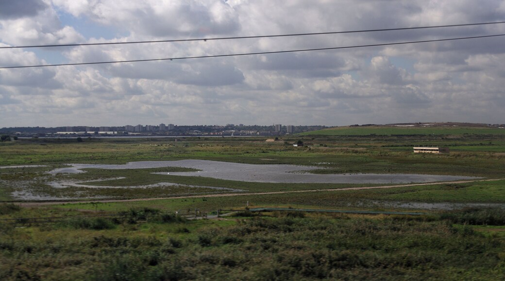 Looking south from High Speed 1 at the Thames estuary.