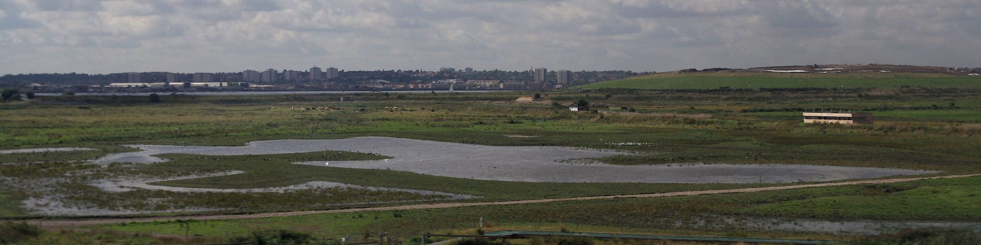 Looking south from High Speed 1 at the Thames estuary.