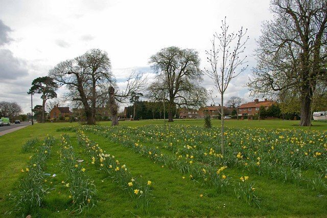 Garron Lane Green Why is it that councils seem to love to plant flowers in straight lines?