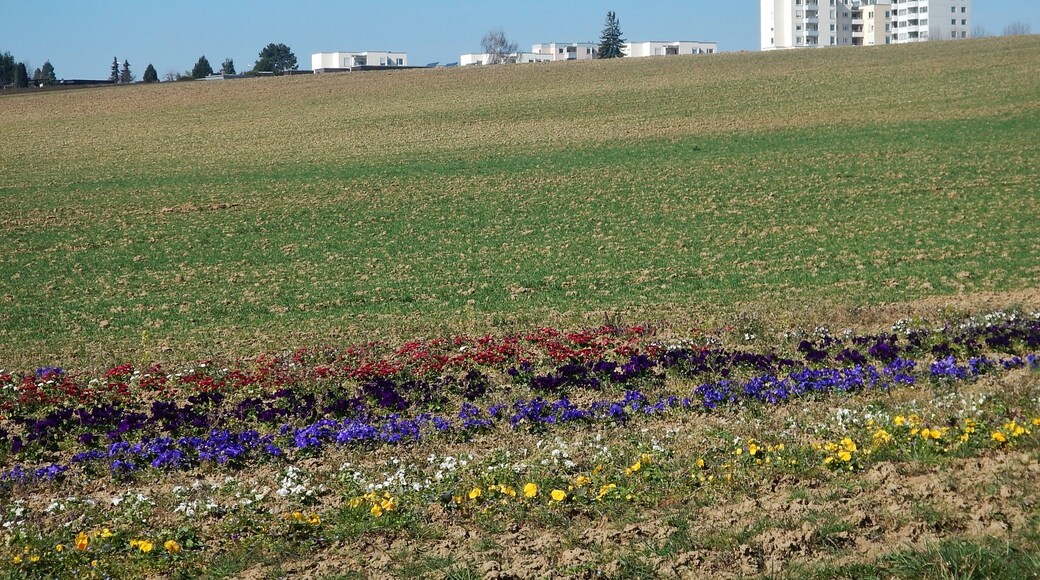 Blick Richtung Bietigheim-Bissingen