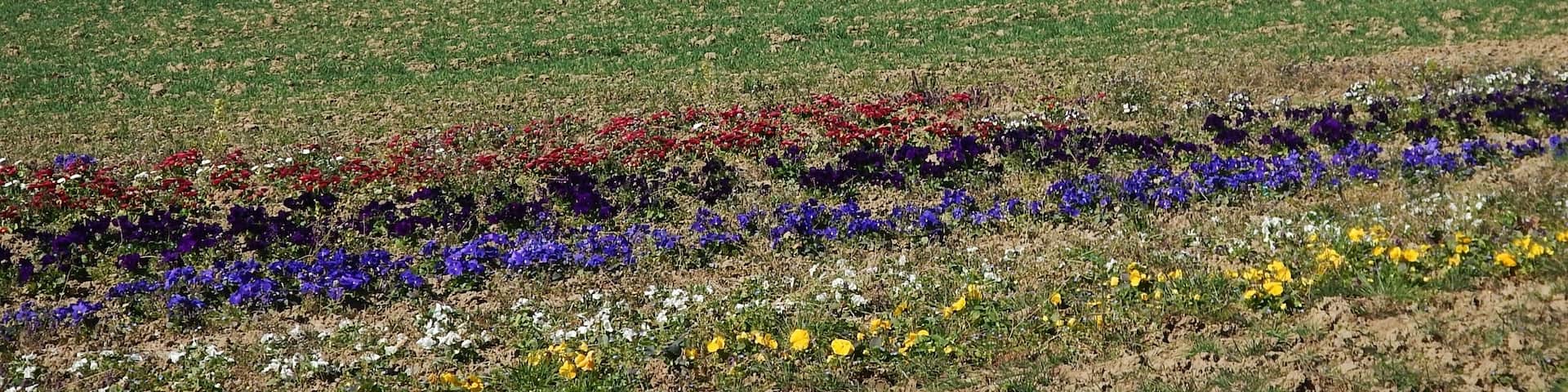 Blick Richtung Bietigheim-Bissingen