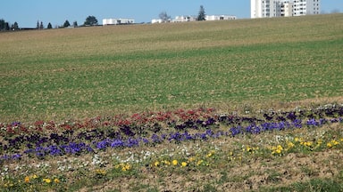 Blick Richtung Bietigheim-Bissingen