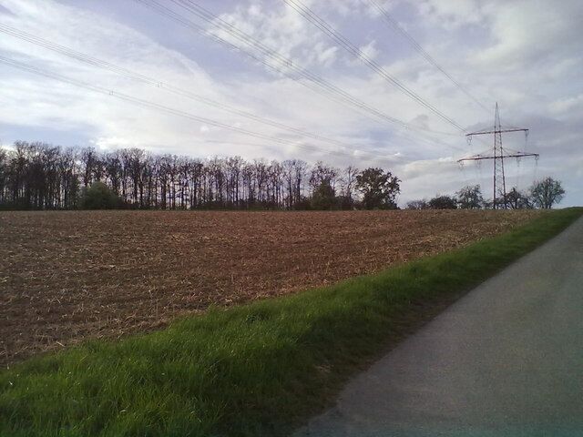 Felder zwischen Freiberg und Bietigheim-Bissingen