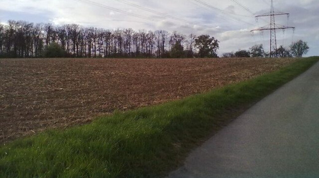 Felder zwischen Freiberg und Bietigheim-Bissingen