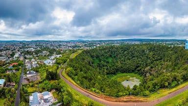 Aerial top view perspective of Trou Aux Cerf Volcano Curepipe in the tropical island jungle of Mauritius. Aerial view of Trou aux cerfs dormant volcano located at Curepipre, Mauritius