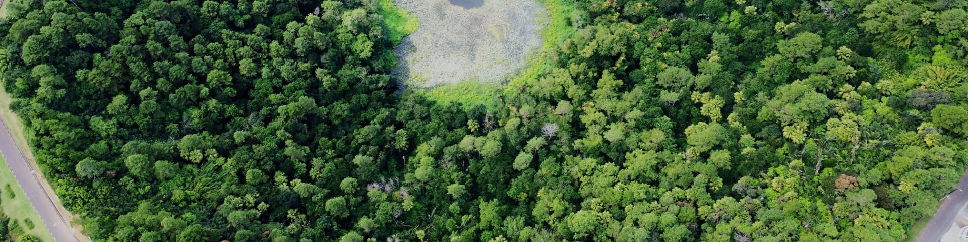 Volcano Trou Aux Cerfs, Curepipe, Mauritius